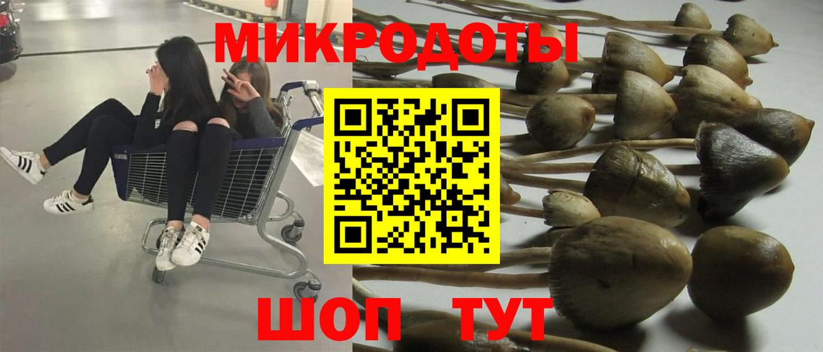 Новороссийск  Галлюциногенные грибы прущие грибы  Вход с VPN 